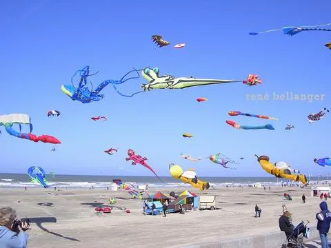 Des dizaines de cerfs-volants géants au-dessus de la plage de Berck